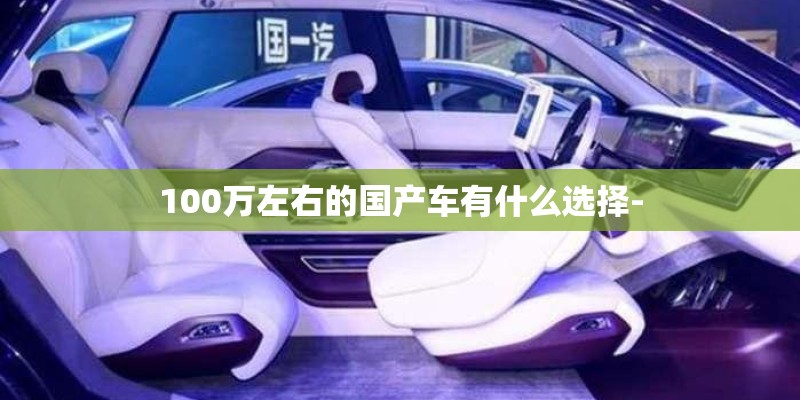 100万左右的国产车有什么选择- 100万左右的国产车有什么选择-