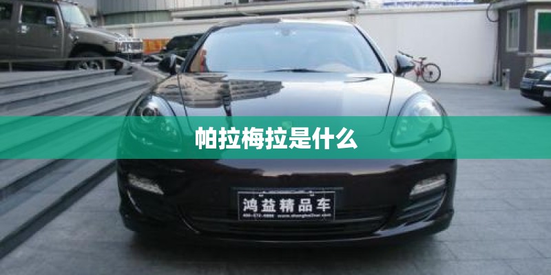 帕拉梅拉是什么 帕拉梅拉是什么