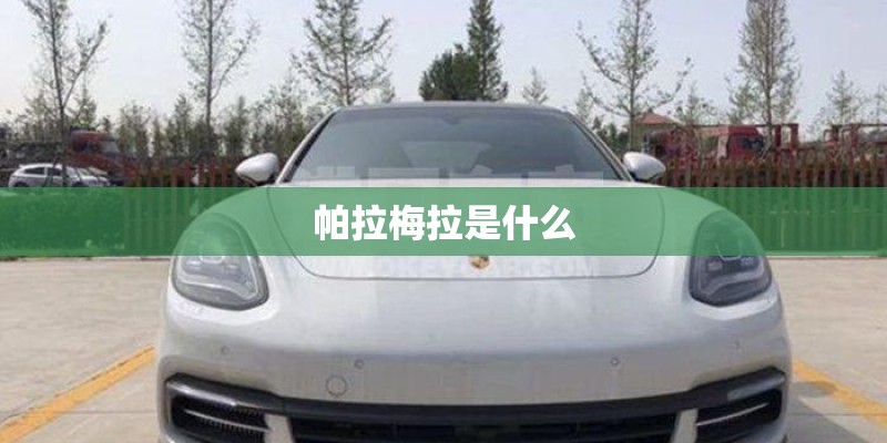 帕拉梅拉是什么 帕拉梅拉是什么
