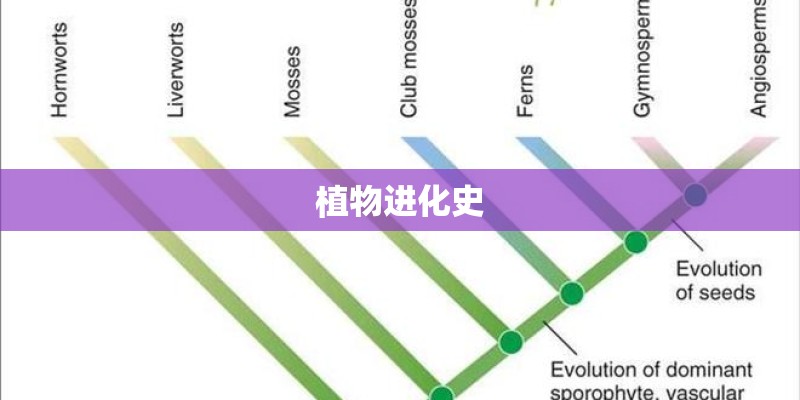 植物进化史 植物进化史