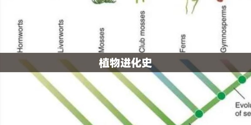 植物进化史 植物进化史