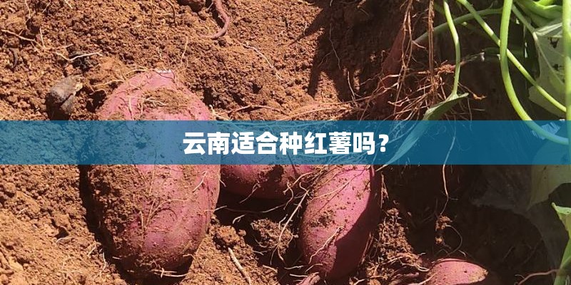 水性防锈剂配方_1