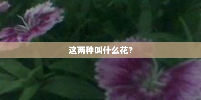 水性防锈剂配方_1