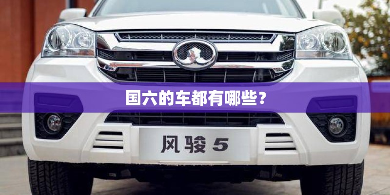 国六的车都有哪些? 国六的车都有哪些?