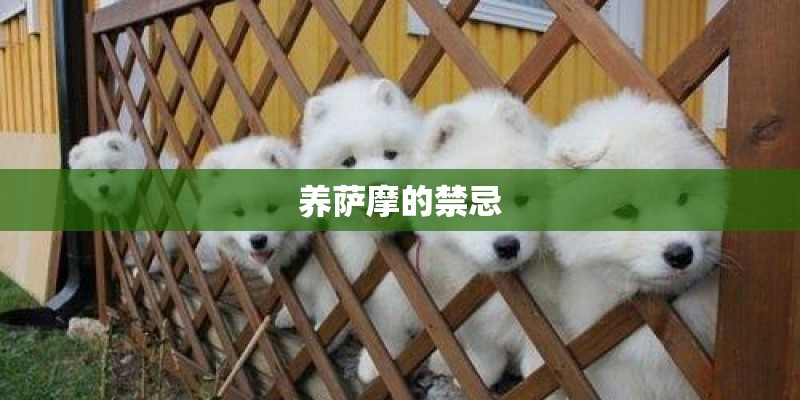 巴尔扎克《三十岁的女人》的简介