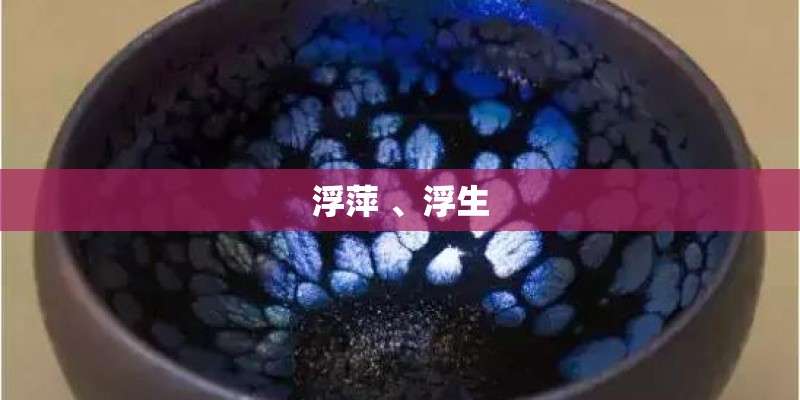 浮萍 、浮生 浮萍 、浮生