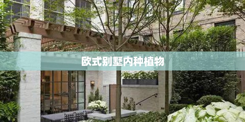 欧式别墅内种植物 欧式别墅内种植物
