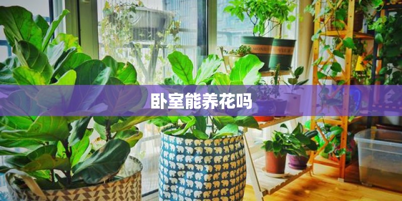 卧室能养花吗 卧室能养花吗