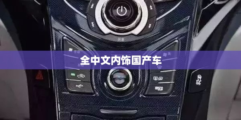 全中文内饰国产车 全中文内饰国产车