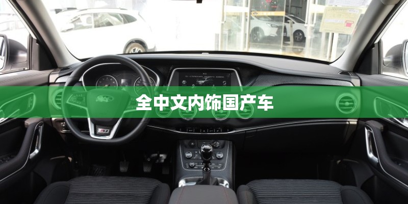 全中文内饰国产车 全中文内饰国产车