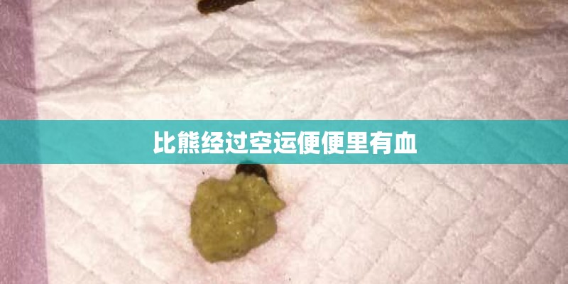 比熊经过空运便便里有血 比熊经过空运便便里有血