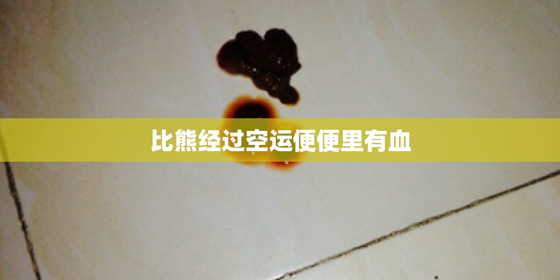 比熊经过空运便便里有血 比熊经过空运便便里有血
