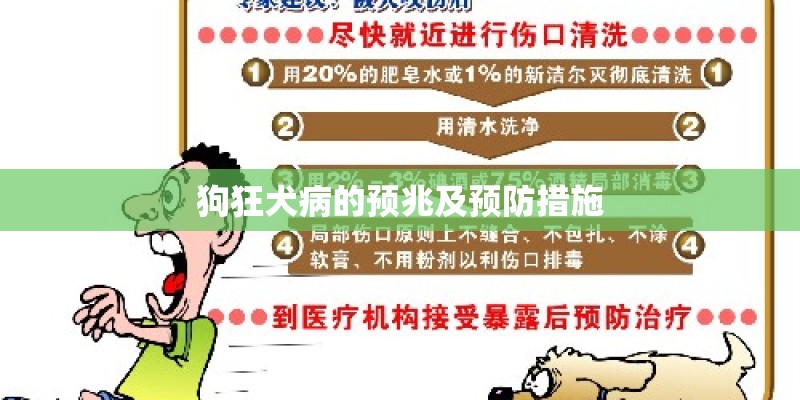 狗狂犬病的预兆及预防措施 狗狂犬病的预兆及预防措施