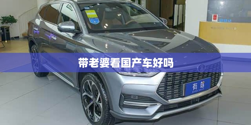巴西龟的饲养方法