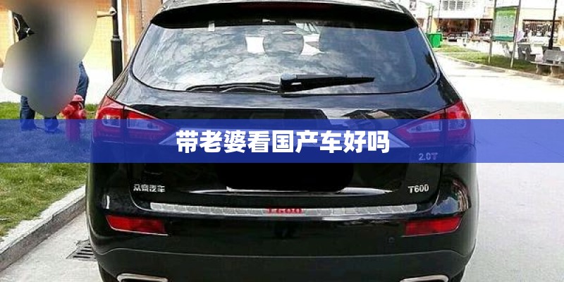 巴西龟的饲养方法