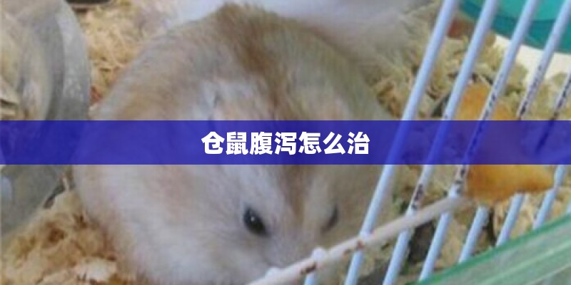 仓鼠腹泻怎么治 仓鼠腹泻怎么治