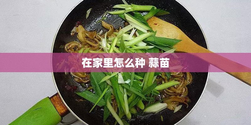 在家里怎么种 蒜苗 在家里怎么种 蒜苗