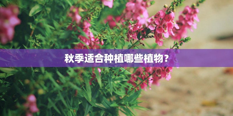 天长日久什么意思？