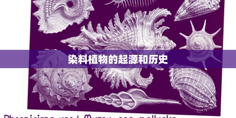 染料植物的起源和历史 染料植物的起源和历史