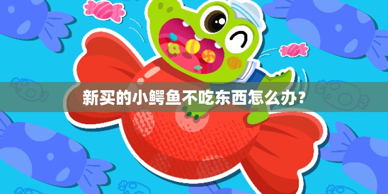 新买的小鳄鱼不吃东西怎么办? 新买的小鳄鱼不吃东西怎么办?