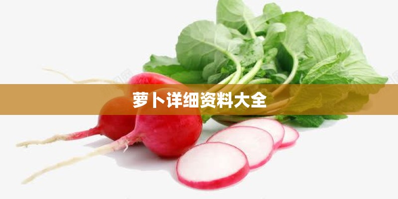 汾河水的典故 汾河水的典故