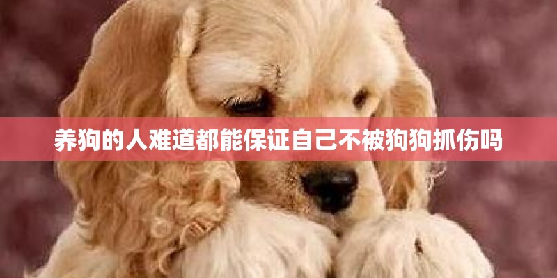 养狗的人难道都能保证自己不被狗狗抓伤吗 养狗的人难道都能保证自己不被狗狗抓伤吗