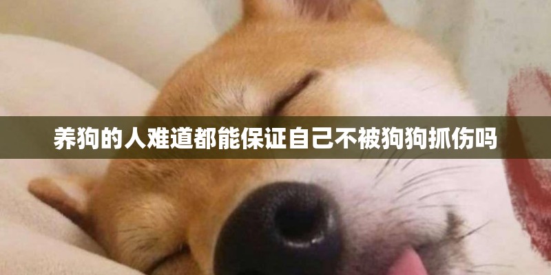 养狗的人难道都能保证自己不被狗狗抓伤吗 养狗的人难道都能保证自己不被狗狗抓伤吗