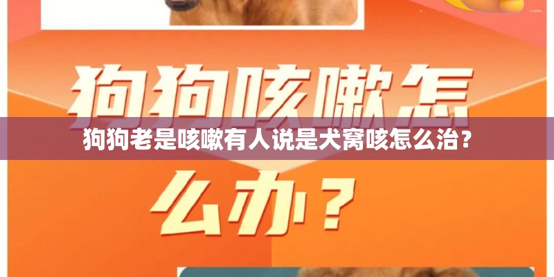 狗狗老是咳嗽有人说是犬窝咳怎么治? 狗狗老是咳嗽有人说是犬窝咳怎么治?