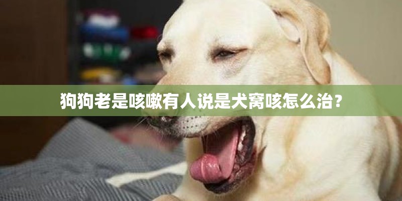 狗狗老是咳嗽有人说是犬窝咳怎么治? 狗狗老是咳嗽有人说是犬窝咳怎么治?