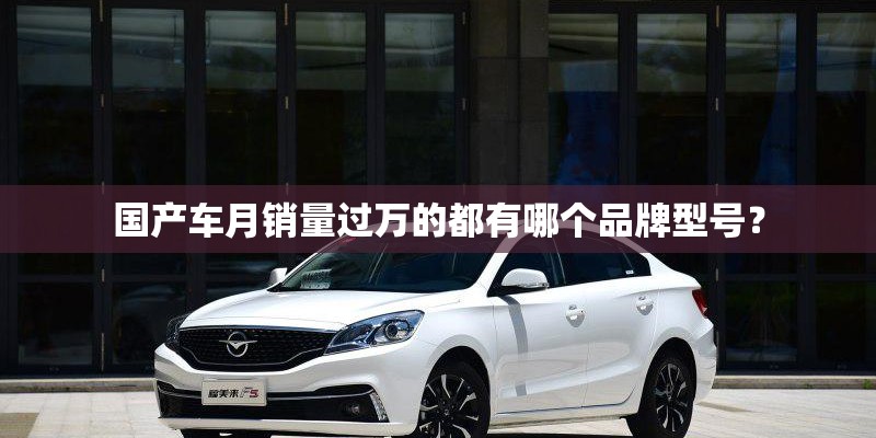 国产车月销量过万的都有哪个品牌型号? 国产车月销量过万的都有哪个品牌型号?
