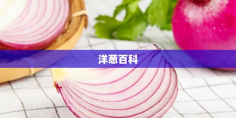科赫法则的理论延伸