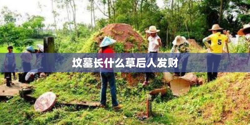 坟墓长什么草后人发财