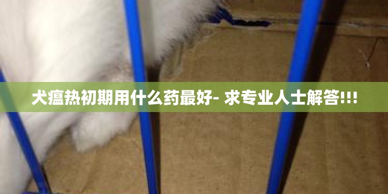 犬瘟热初期用什么药最好- 求专业人士解答!!!