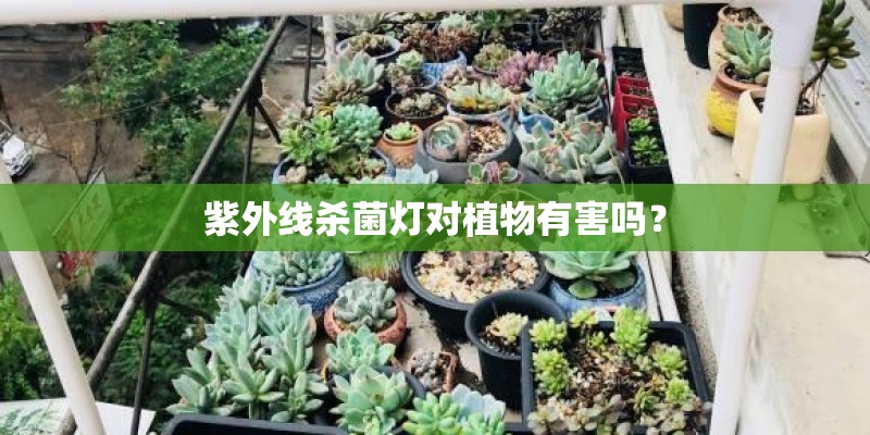 紫外线杀菌灯对植物有害吗? 紫外线杀菌灯对植物有害吗?