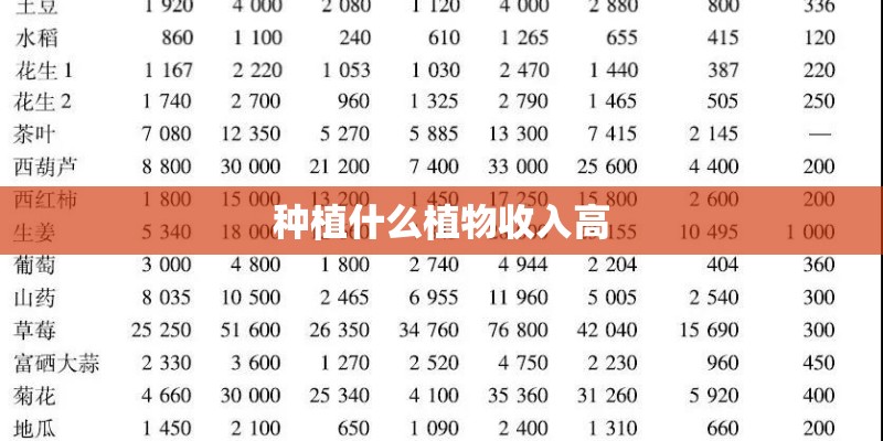 种植什么植物收入高
