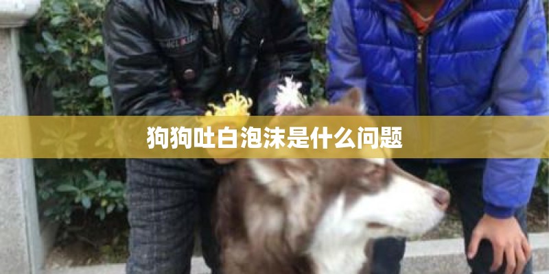 狗狗吐白泡沫是什么问题 狗狗吐白泡沫是什么问题