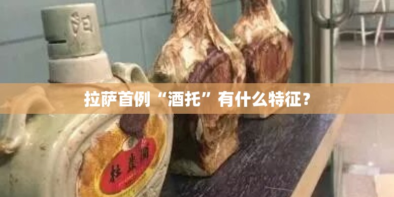拉萨首例“酒托”有什么特征? 拉萨首例“酒托”有什么特征?