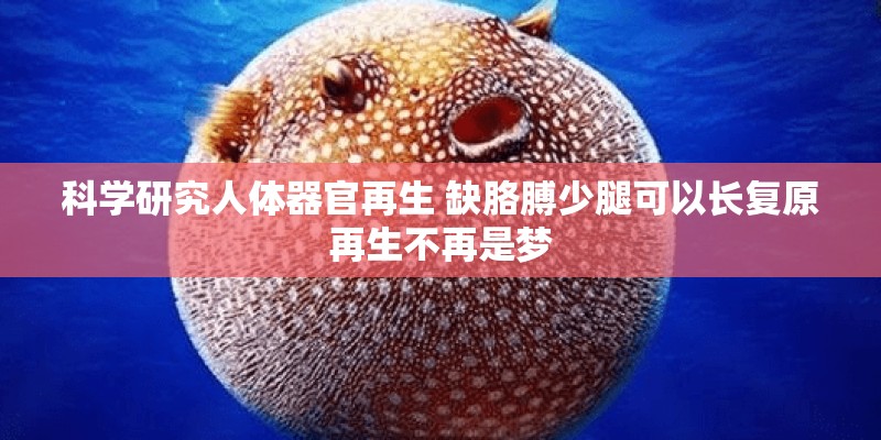 科学研究人体器官再生 缺胳膊少腿可以长复原再生不再是梦 科学研究人体器官再生 缺胳膊少腿可以长复原再生不再是梦