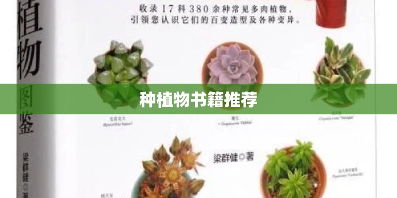 种植物书籍推荐 种植物书籍推荐