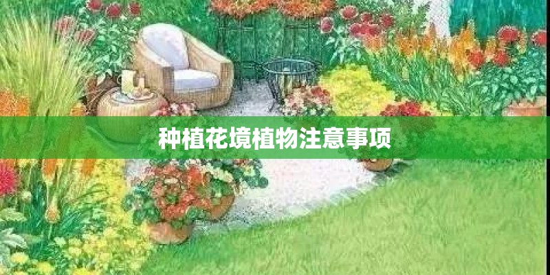 种植花境植物注意事项 种植花境植物注意事项