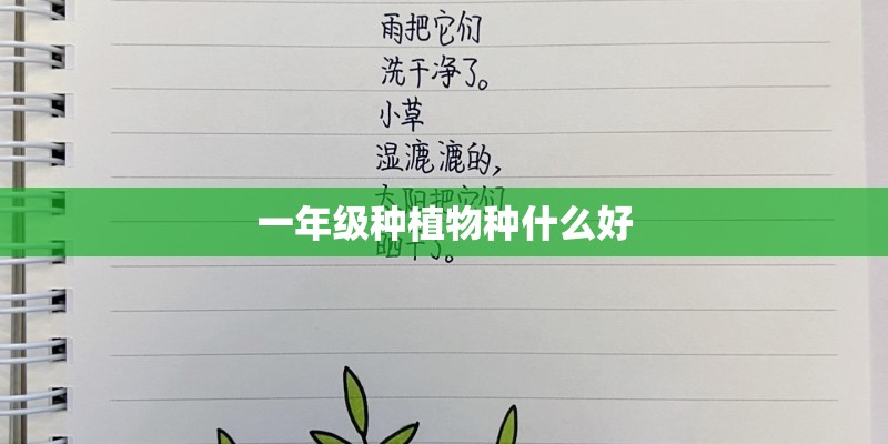 一年级种植物种什么好 一年级种植物种什么好