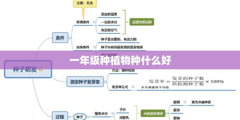 一年级种植物种什么好 一年级种植物种什么好