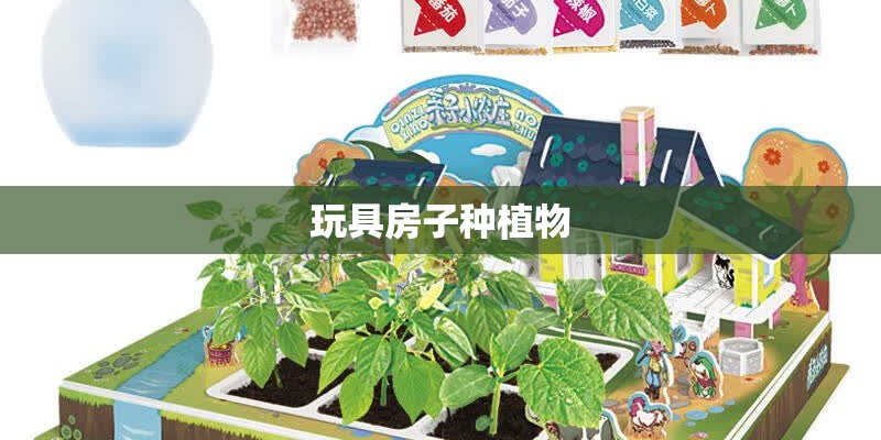 玩具房子种植物