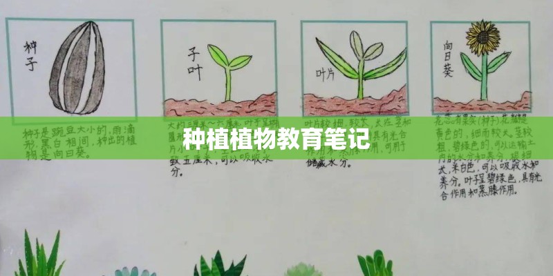 种植植物教育笔记 种植植物教育笔记